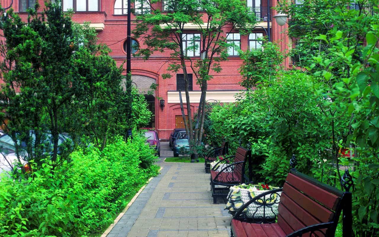 Новая Звезда Фото 50594